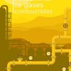 Descargas en PDF: Revisiones e Inspecciones en Instalaciones de gases combustibles